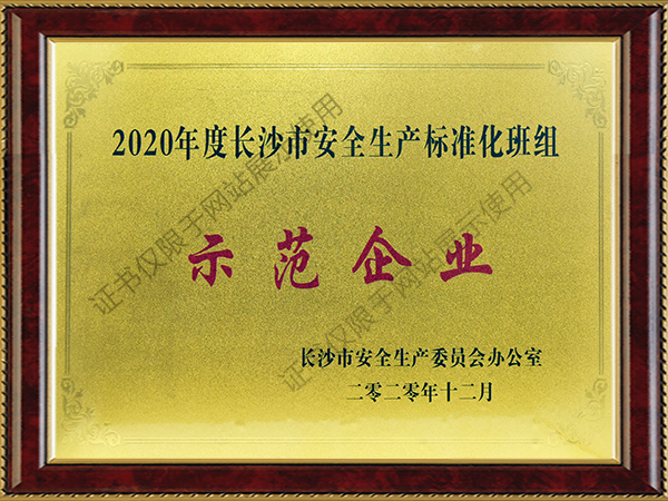 長沙市安全生產標準化班組示範企業